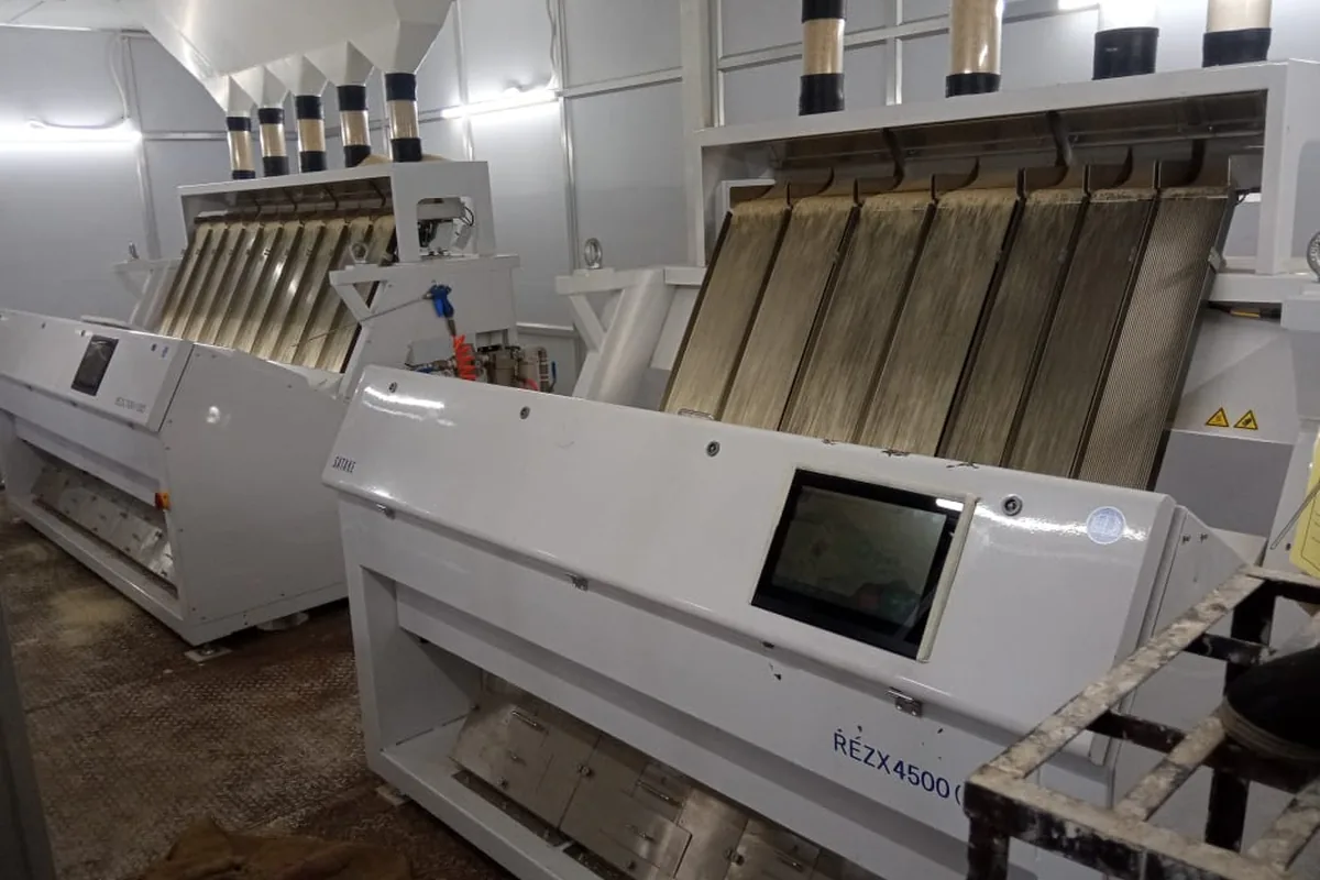Colour sorter on the grading line