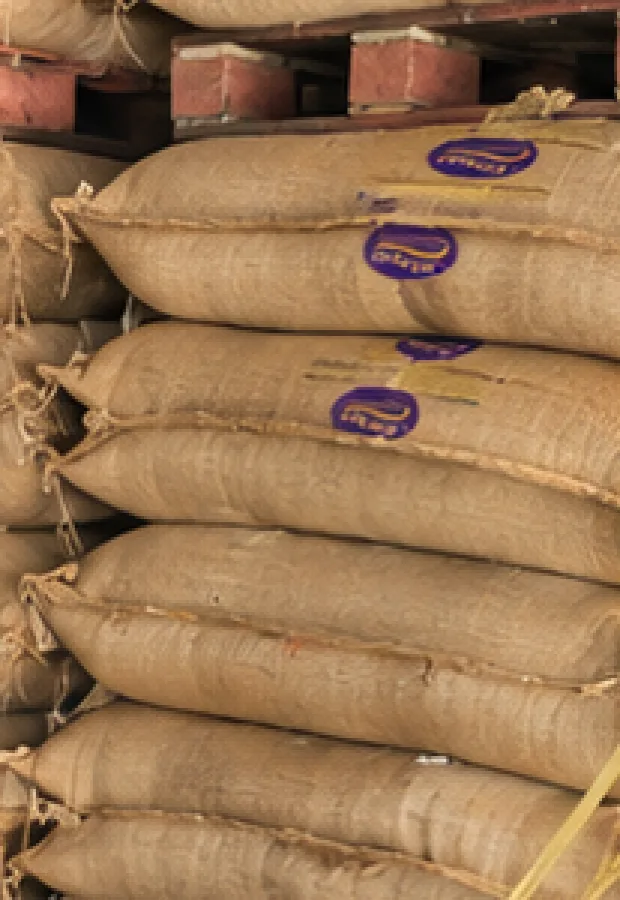 Jute sacks of paddy stacked in a warehouse